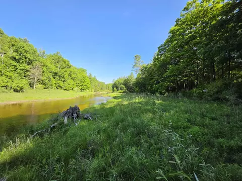 tbd N Lakeshore, Gladwin, MI 48624 photo 27