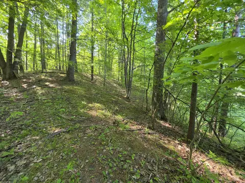 tbd N Lakeshore, Gladwin, MI 48624 photo 30