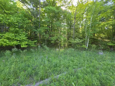 tbd N Lakeshore, Gladwin, MI 48624 photo 23