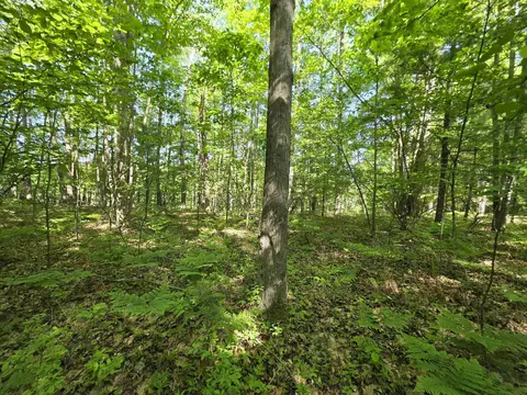 tbd N Lakeshore, Gladwin, MI 48624 photo 7