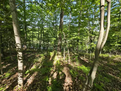 tbd N Lakeshore, Gladwin, MI 48624 photo 11