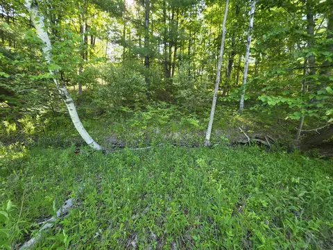 tbd N Lakeshore, Gladwin, MI 48624 photo 22