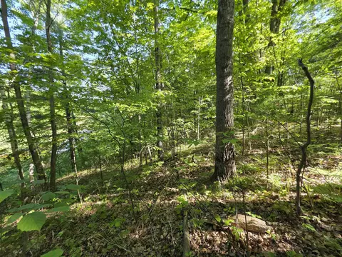 tbd N Lakeshore, Gladwin, MI 48624 photo 12