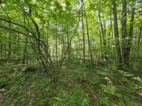 tbd N Lakeshore, Gladwin, MI 48624 photo 8