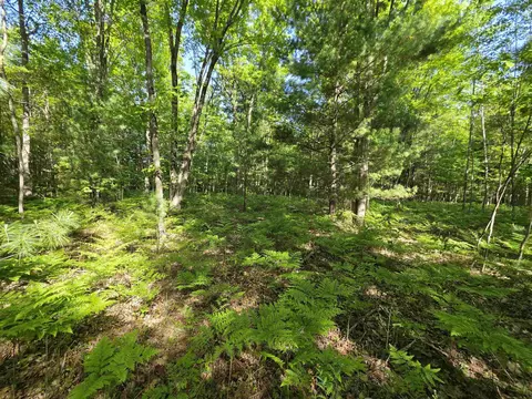 tbd N Lakeshore, Gladwin, MI 48624 photo 6