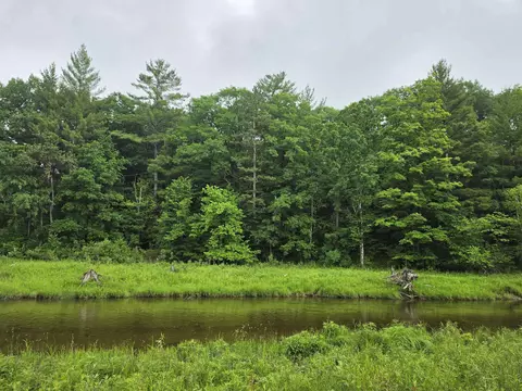 tbd N Lakeshore, Gladwin, MI 48624