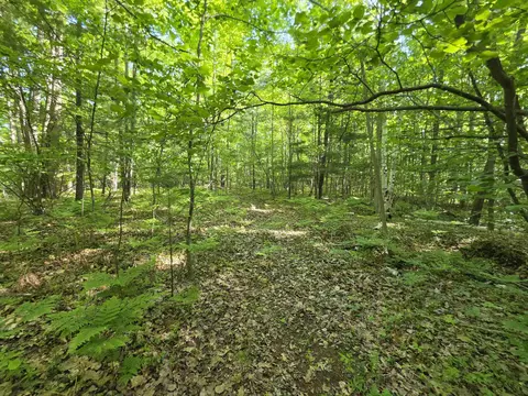 tbd N Lakeshore, Gladwin, MI 48624 photo 9