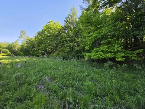 tbd N Lakeshore, Gladwin, MI 48624 photo 24
