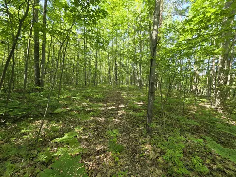 tbd N Lakeshore, Gladwin, MI 48624 photo 10