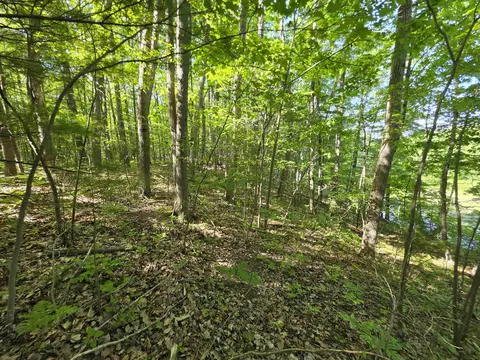 tbd N Lakeshore, Gladwin, MI 48624 photo 13