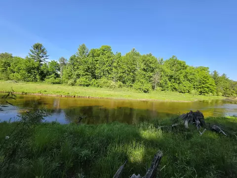 tbd N Lakeshore, Gladwin, MI 48624 photo 28