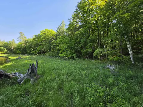 tbd N Lakeshore, Gladwin, MI 48624 photo 25