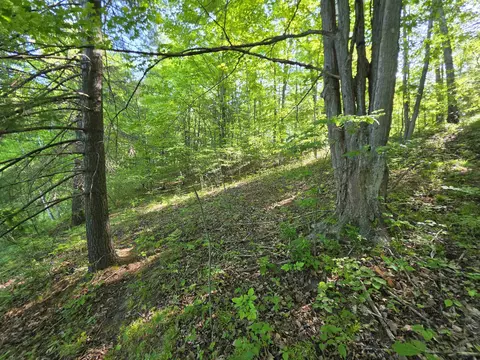 tbd N Lakeshore, Gladwin, MI 48624 photo 15