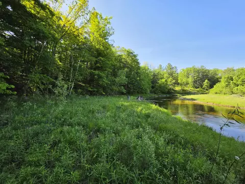 tbd N Lakeshore, Gladwin, MI 48624 photo 26