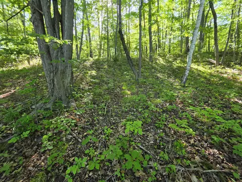 tbd N Lakeshore, Gladwin, MI 48624 photo 16