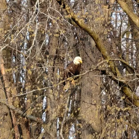 Other - 435 N Main, Au Gres, MI 48703 photo 6 of 6