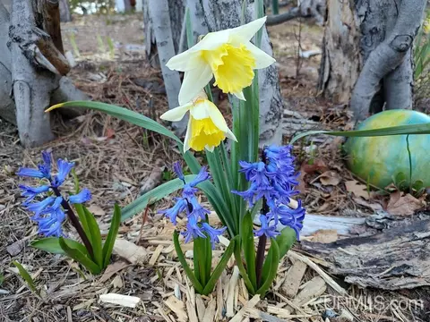 Other - 5877 Five Mile Pt, Allouez, MI 49805 photo 16 of 22
