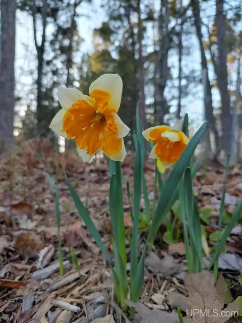 Other - 5877 Five Mile Pt, Allouez, MI 49805 photo 17 of 22