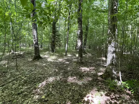 Exterior - 4702 N Banking Ground, Germfask, MI 49836 photo 22 of 32