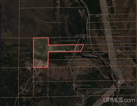 31 Acres On Bobs Creek Truck, Gwinn, MI 49841
