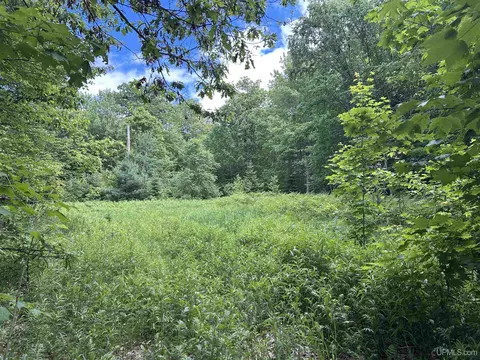 tbd N Carlshend, Skandia, MI 49885