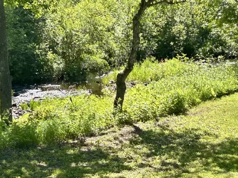 Other - n8766 Peter White Road, Deerton, MI 49822 photo 17 of 19