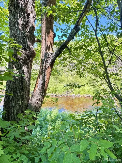 View/Area - n8766 Peter White Road, Deerton, MI 49822 photo 3 of 14