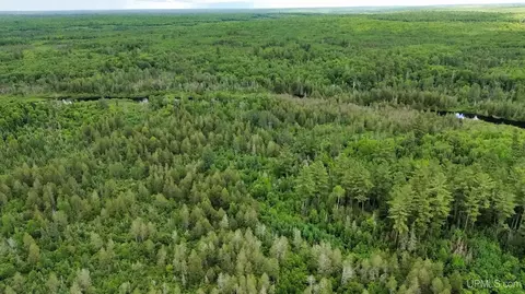 40 Acres Off Wide Waters, Amasa, MI 49902
