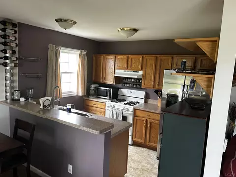 Kitchen - 3978 Sandy Mdws, Adrian, MI 49221 photo 2 of 2