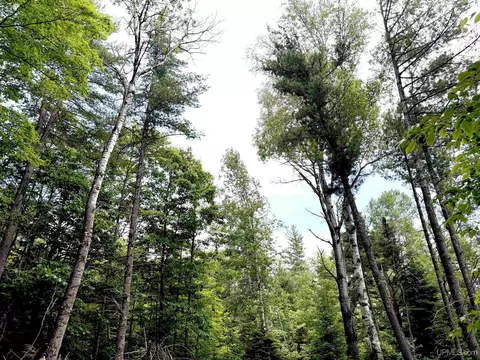 tbd Westwood, Ishpeming, MI 49849