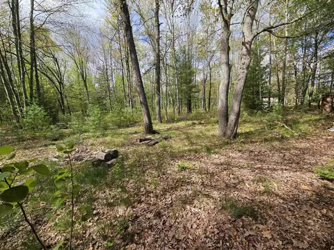 Exterior - 3820 Oakgrove, Harrison, MI 48625 photo 5 of 6