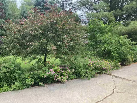 Exterior - 362 Beech, Gladwin, MI 48624 photo 16 of 17