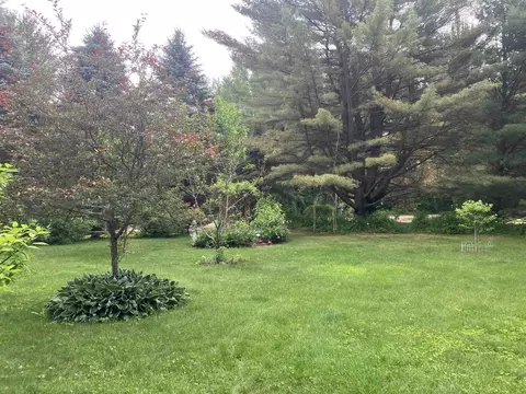 Exterior - 362 Beech, Gladwin, MI 48624 photo 12 of 17