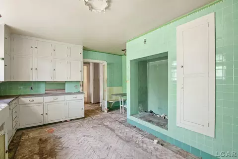 Kitchen - 411 S Main, Adrian, MI 49221 photo 3 of 5