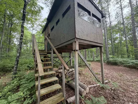 Exterior - 259 Hatchery, Farwell, MI 48622 photo 9 of 11