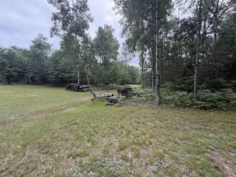 Exterior - 259 Hatchery, Farwell, MI 48622 photo 11 of 11