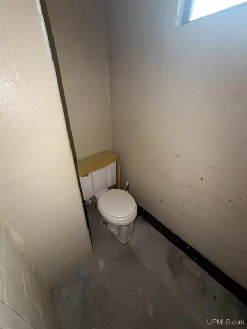 802 Palms, Ishpeming, MI 49849 photo 50