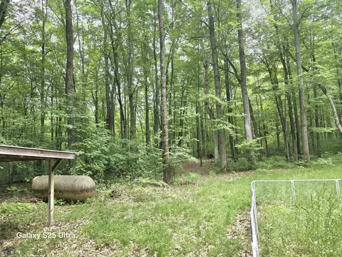 10135 Woods, Gladwin, MI 48624 photo 3