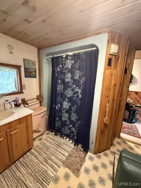 Bath - e16983 Nevins Lake Road, Shingleton, MI 49884 photo 2 of 2