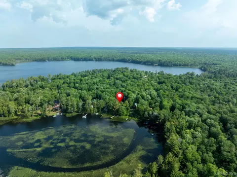 View/Area - e16983 Nevins Lake Road, Shingleton, MI 49884 photo 4 of 5