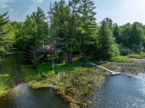 View/Area - e16983 Nevins Lake Road, Shingleton, MI 49884 photo 5 of 5