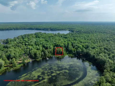 View/Area - e16983 Nevins Lake Road, Shingleton, MI 49884 photo 3 of 5