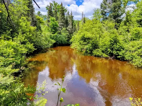 55 Acres Old M 28, Kenton, MI 49967