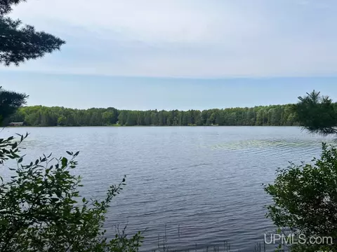 Parcel 1 Grant Lake, Republic, MI 49879