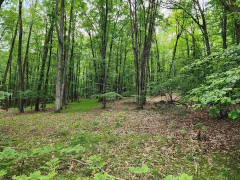 2145 Elkhorn, Farwell, MI 48622