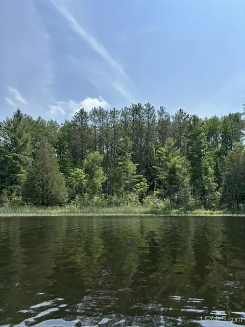 tbd Waucedah, Vulcan, MI 49892 photo 13