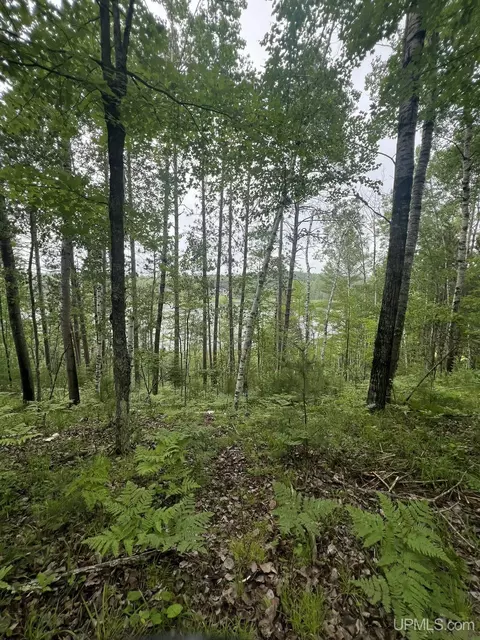 tbd Waucedah, Vulcan, MI 49892 photo 10