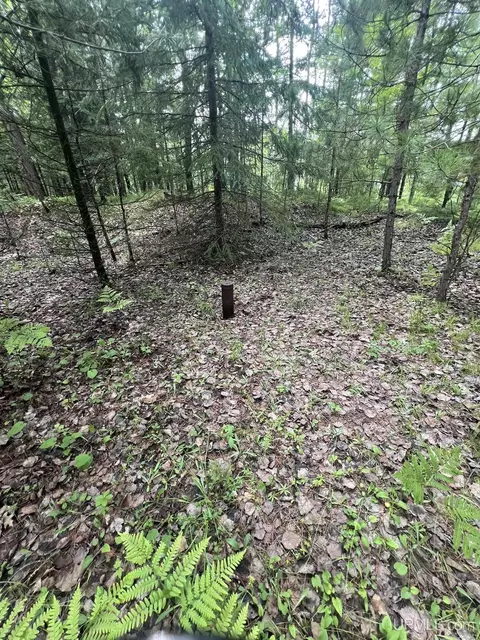 tbd Waucedah, Vulcan, MI 49892 photo 9