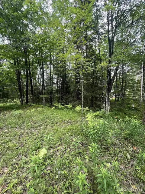 tbd Waucedah, Vulcan, MI 49892 photo 3