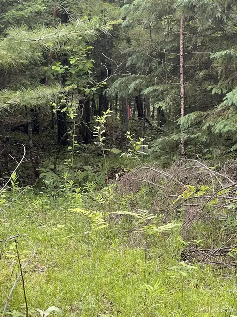 tbd Waucedah, Vulcan, MI 49892 photo 6